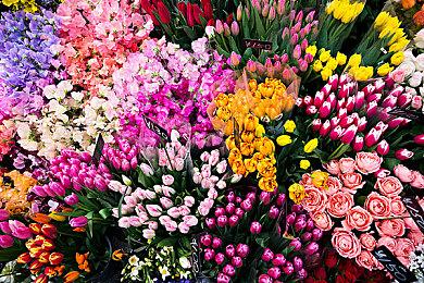 《明末：渊虚之羽》新套装截图 诡异新娘身姿傲人